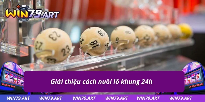 Thông tin cơ bản về cách nuôi lô khung 24h